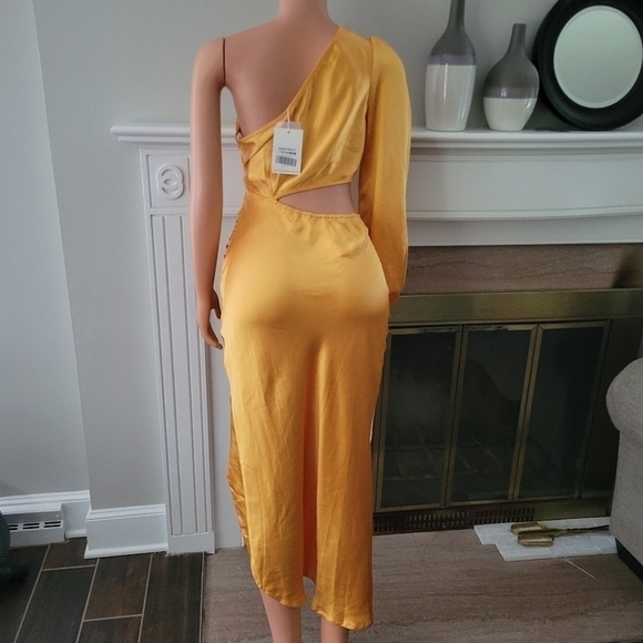 Alice elle NWT Dress size 12. - Picture 4 of 15